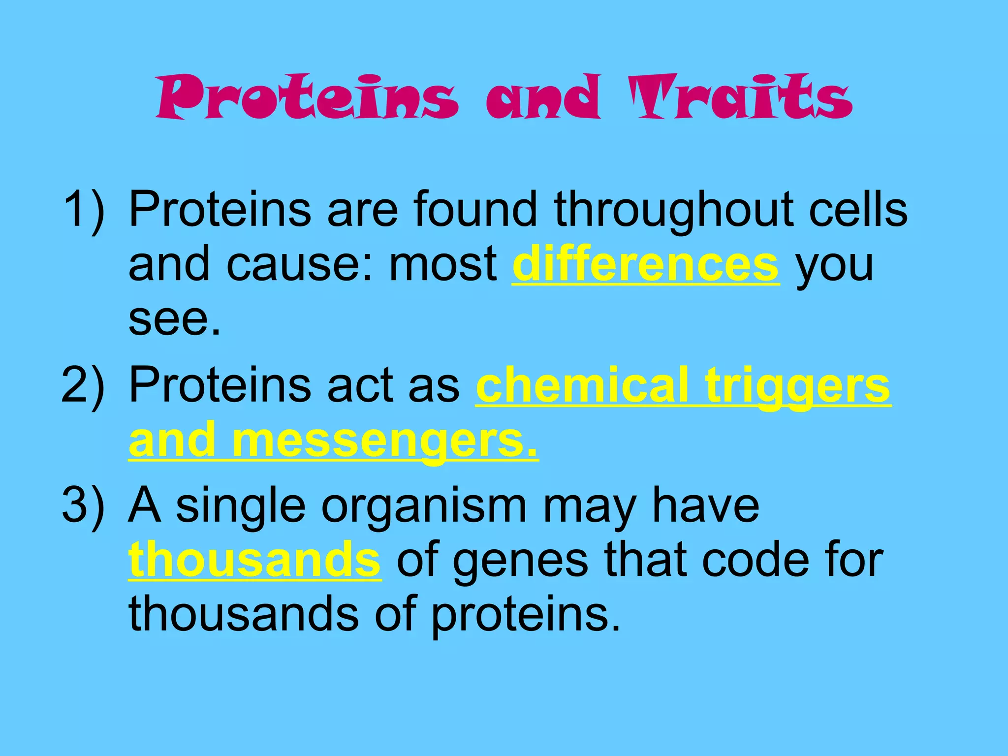 Proteins and Traits
1) Proteins are found throughout cells
   and cause: most differences you
   see.
2) Proteins act as chemical triggers
   and messengers.
3) A single organism may have
   thousands of genes that code for
   thousands of proteins.
 