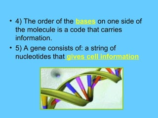 • 4) The order of the bases on one side of
  the molecule is a code that carries
  information.
• 5) A gene consists of: a string of
  nucleotides that gives cell information
 