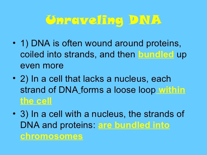 how dna works dna how it works