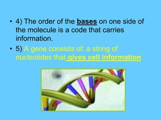 How DNA Works Notes | PPTX