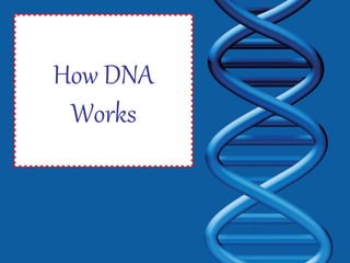 How DNA
Works
 