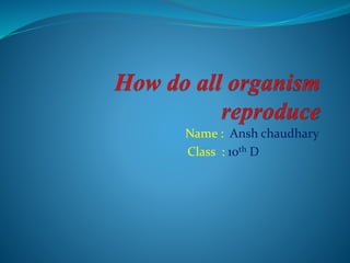 Name : Ansh chaudhary
Class : 10th D
 