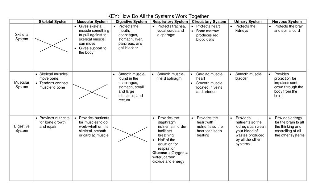 How do all the systems work together