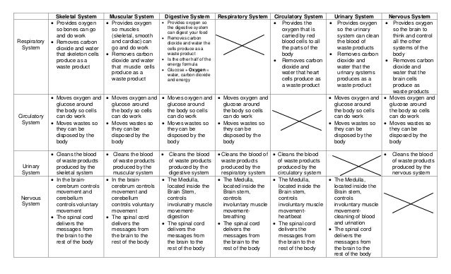 How do all the systems work together