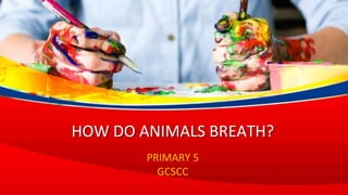 HOW DO ANIMALS BREATH?
PRIMARY 5
GCSCC
 