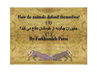 How do animals defend  1