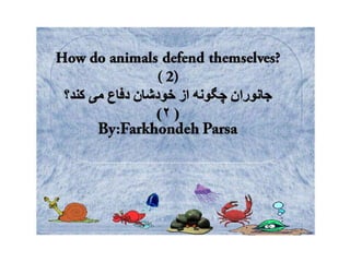 How do animals defend  2