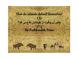 How do animals defend  3
