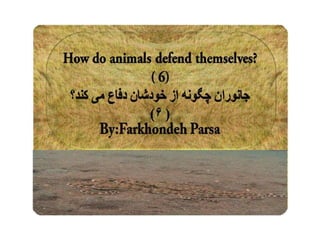 How do animals defend  5-6