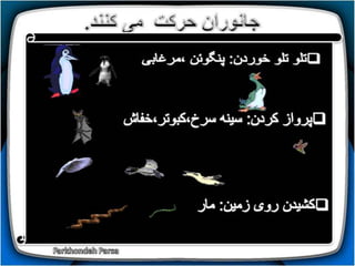 How do animals move (1-5)