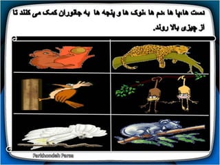 How do animals move (1-5)