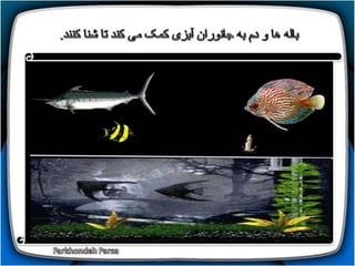 How do animals move (1-5)