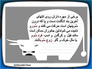 How do animals move (1-5)