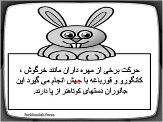 How do animals move (1-5)