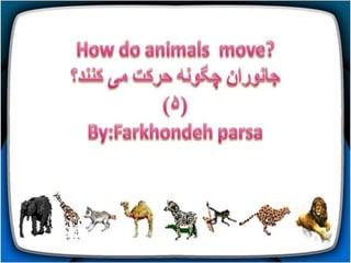 How do animals move (1-5)