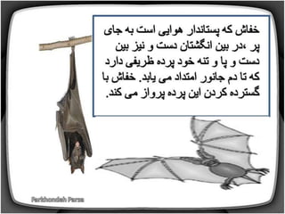 How do animals move (1-5)