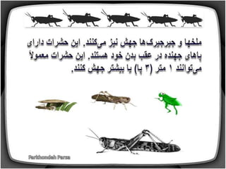 How do animals move (1-5)