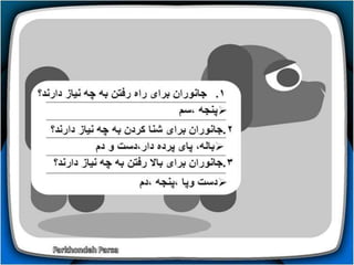 How do animals move (1-5)