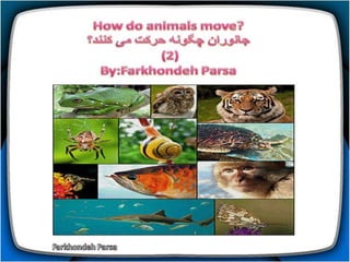How do animals move (1-5)
