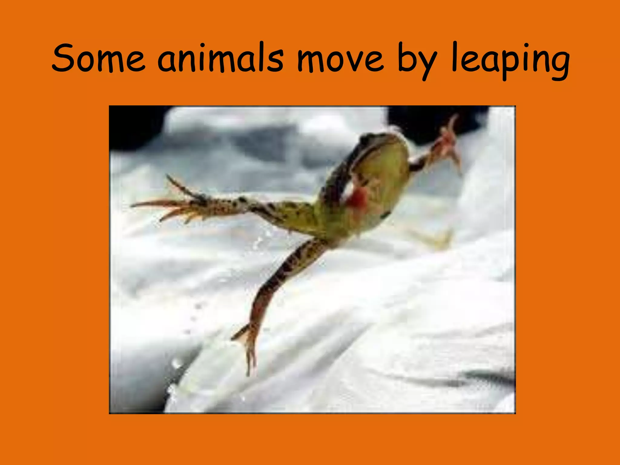 Some animals move by leaping