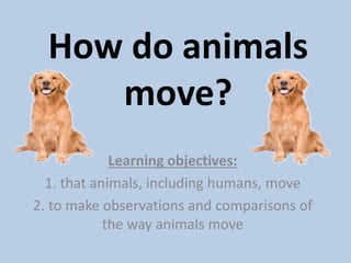 How do animals
move?
Learning objectives:
1. that animals, including humans, move
2. to make observations and comparisons of
the way animals move
 