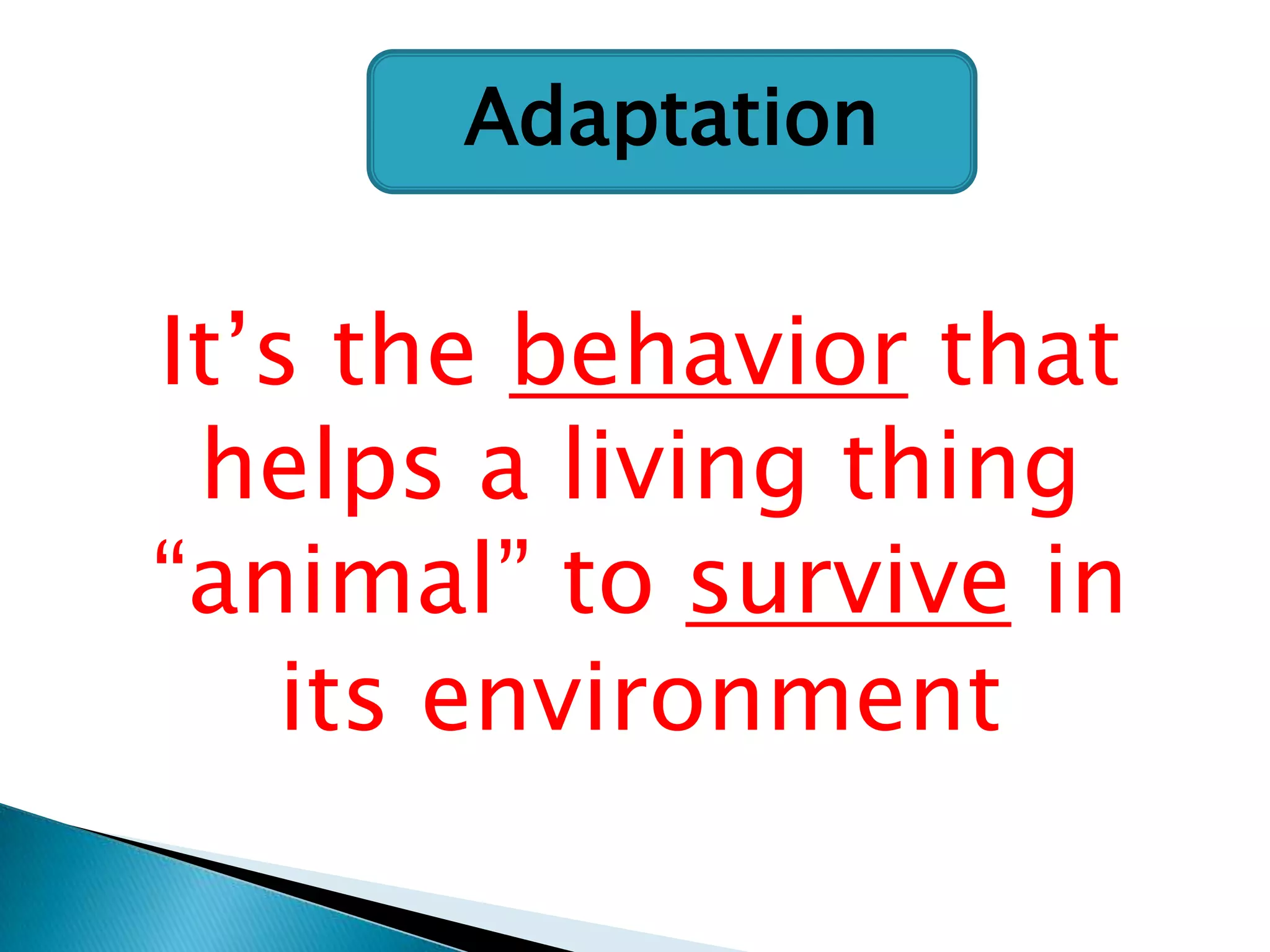 Adaptation

It‟s the behavior that
helps a living thing
“animal” to survive in
its environment

 