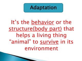 Adaptation
It’s the behavior or the
structure(body part) that
helps a living thing
“animal” to survive in its
environment
 