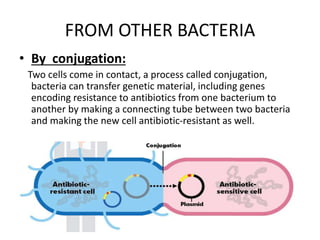 FROM OTHER BACTERIA
• By conjugation:
Two cells come in contact, a process called conjugation,
bacteria can transfer genetic material, including genes
encoding resistance to antibiotics from one bacterium to
another by making a connecting tube between two bacteria
and making the new cell antibiotic-resistant as well.
 