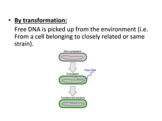 • By transformation:
Free DNA is picked up from the environment (i.e.
From a cell belonging to closely related or same
strain).
 