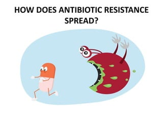 HOW DOES ANTIBIOTIC RESISTANCE
SPREAD?
 