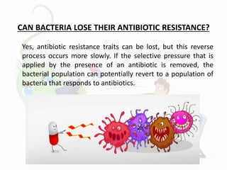 CAN BACTERIA LOSE THEIR ANTIBIOTIC RESISTANCE?
Yes, antibiotic resistance traits can be lost, but this reverse
process occurs more slowly. If the selective pressure that is
applied by the presence of an antibiotic is removed, the
bacterial population can potentially revert to a population of
bacteria that responds to antibiotics.
 