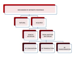MECHANISM OF ANTIBIOTIC RESISTANCE
NATURAL ACQUIRED
GENETIC
MUTATION
FROM ANOTHER
BACTERIUM
BY CONJUGATION BY TRANSDUCTION
BY
TRANSFORMATION
 