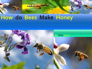 Howdo Bees Make  Honey By:Rida  Shaik 