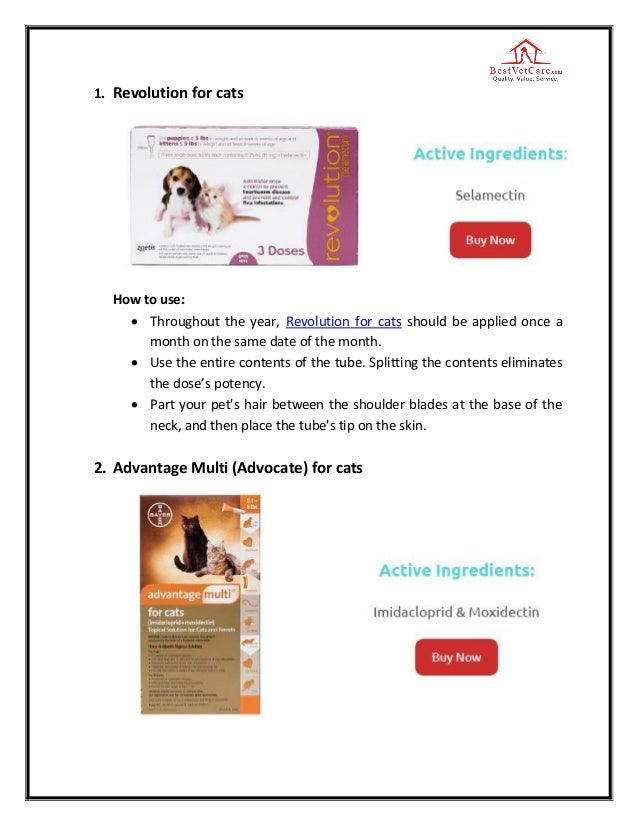 How do cats get heartworm