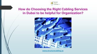 How do Choosing the Right Cabling Services
in Dubai to be helpful for Organization?
www.structurecabling.ae
 