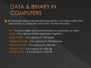 HOW DO COMPUTERS WORK, what makes a computer.pptx