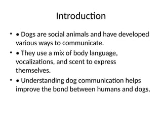 How Dogs Communicate: Understanding Canine Body Language, Vocalizations ...