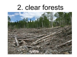 2. clear forests