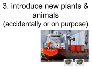 3. introduce new plants &
animals
(accidentally or on purpose)
 