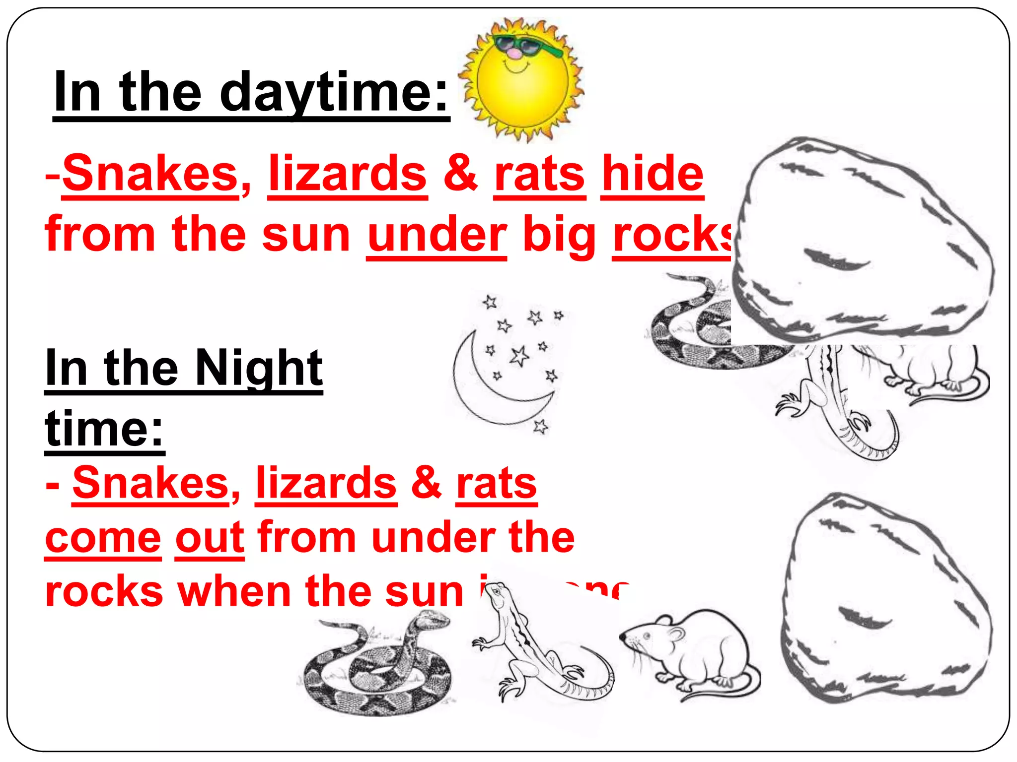In the daytime:
-Snakes, lizards & rats hide
from the sun under big rocks .
In the Night
time:
- Snakes, lizards & rats
come out from under the
rocks when the sun is gone.

 