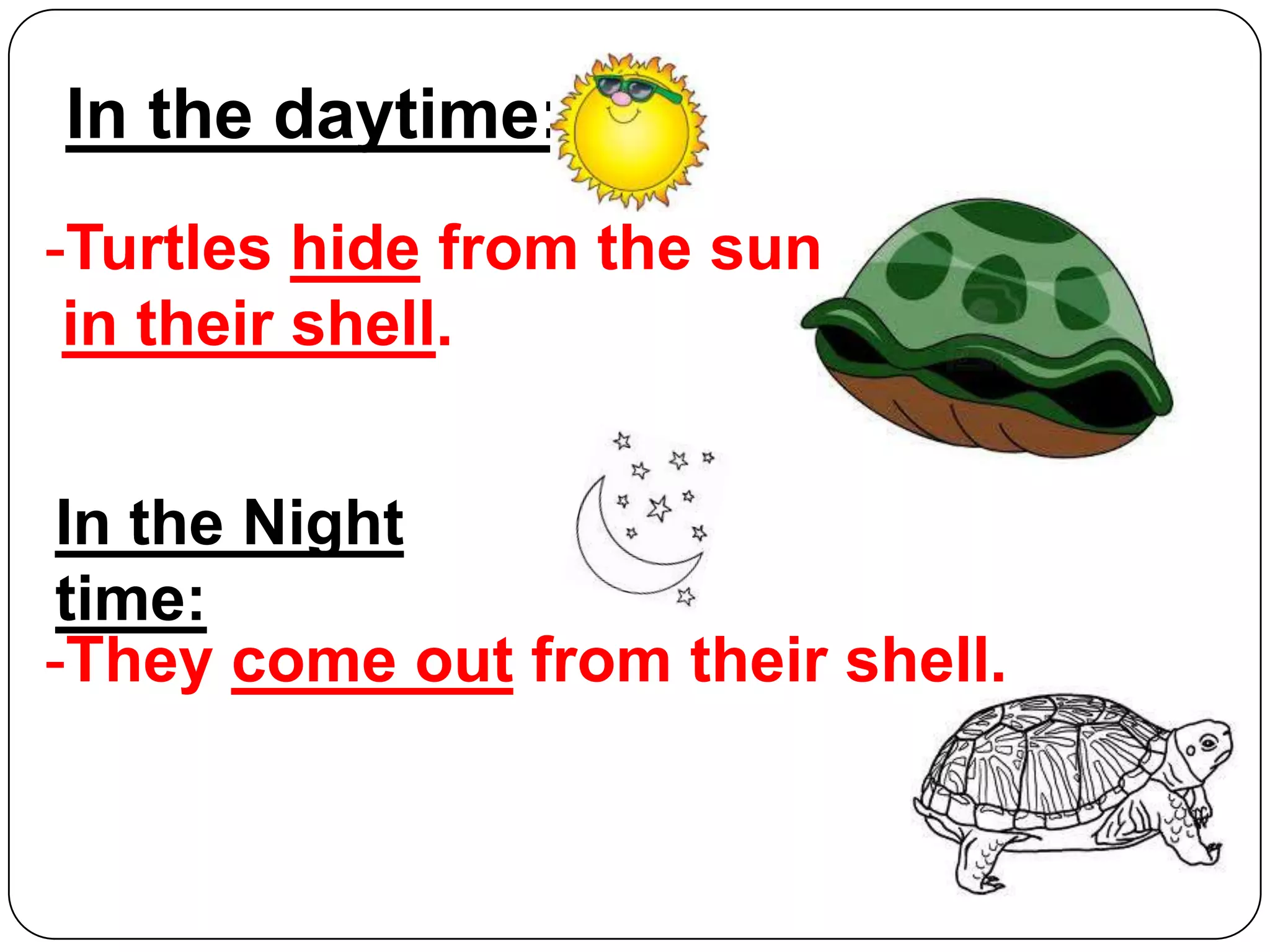 In the daytime:
-Turtles hide from the sun
in their shell.

In the Night
time:
-They come out from their shell.

 