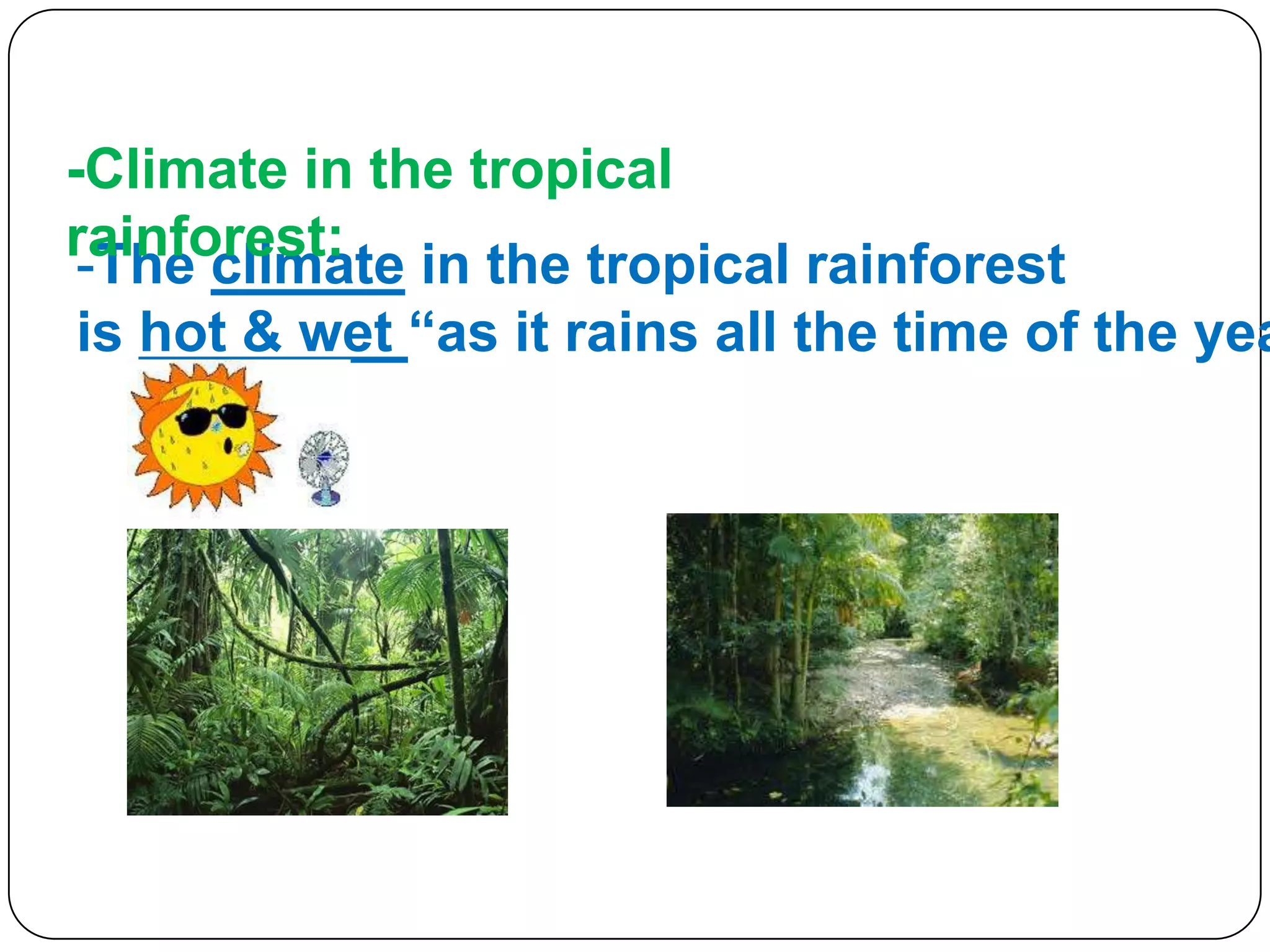 -Climate in the tropical
rainforest: in the tropical rainforest
-The climate

is hot & wet “as it rains all the time of the yea

 