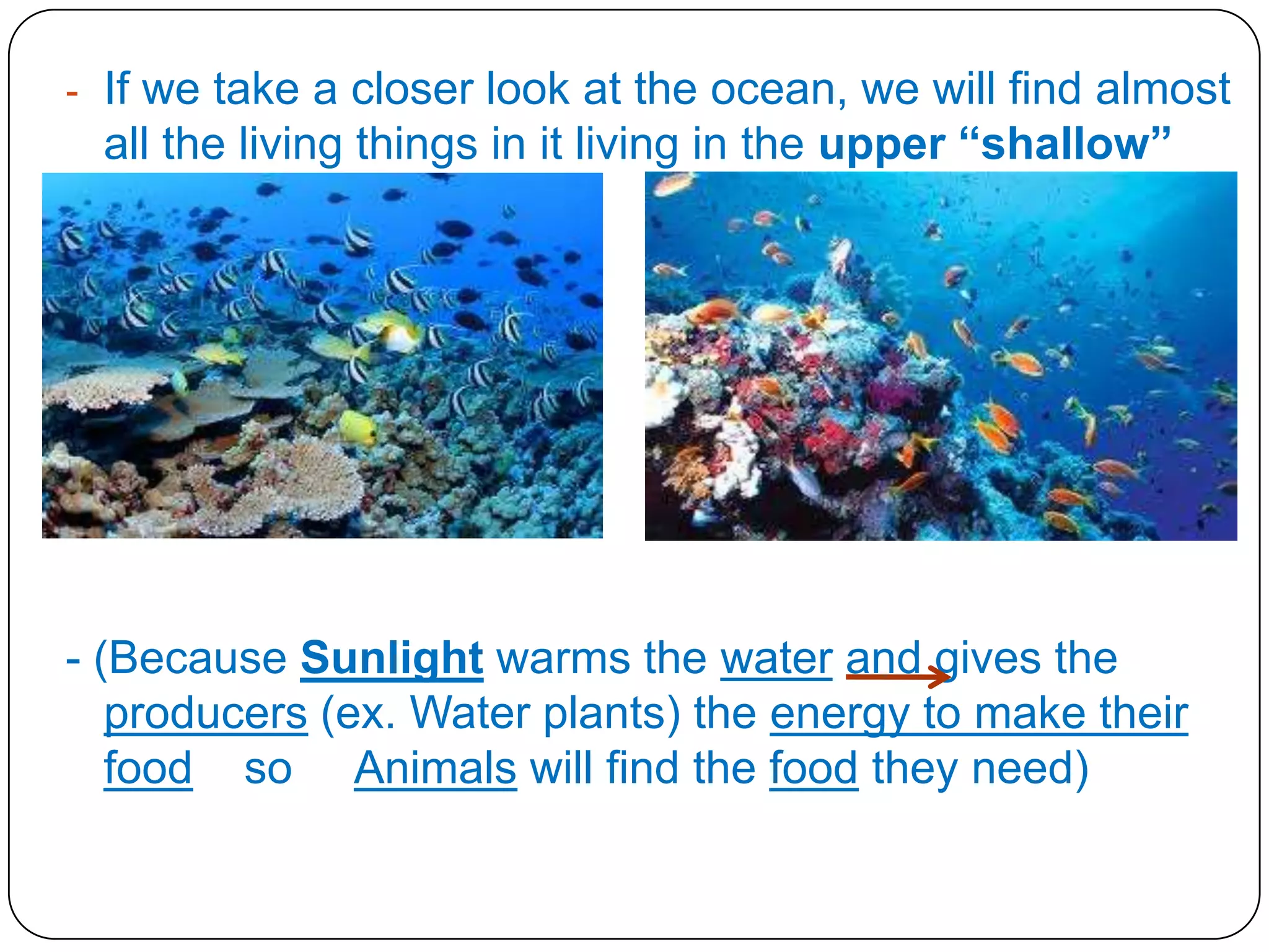 - If we take a closer look at the ocean, we will find almost

all the living things in it living in the upper “shallow”
part of the ocean.

- (Because Sunlight warms the water and gives the
producers (ex. Water plants) the energy to make their
food so Animals will find the food they need)

 