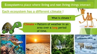 .
Each ecosystem has a different climate !
Ecosystem=a place where living and non living things interact
What is climate ?
Climate = Pattern of weather in an
. area over a long period
. of time.
 