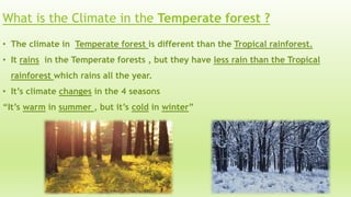 What is the Climate in the Temperate forest ?
• The climate in Temperate forest is different than the Tropical rainforest.
• It rains in the Temperate forests , but they have less rain than the Tropical
rainforest which rains all the year.
• It’s climate changes in the 4 seasons
“It’s warm in summer , but it’s cold in winter”
 