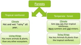 Climate
Hot and wet “rainy” all
year.
Living things
Has more animals & plants,
than any other ecosystem.
living things
Has less Animals & plants than
the tropical rainforest.
Climate
Gets less rain than tropical
rainforests.
Warm summers and cold winters.
Forests
Tropical rainforest Temperate forest
 