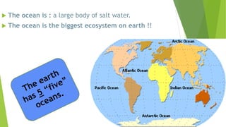  The ocean is : a large body of salt water.
 The ocean is the biggest ecosystem on earth !!
 