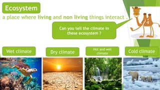 a place where living and non living things interact .
Ecosystem
Can you tell the climate in
these ecosystem ?
Wet climate Dry climate
Hot and wet
climate Cold climate
 
