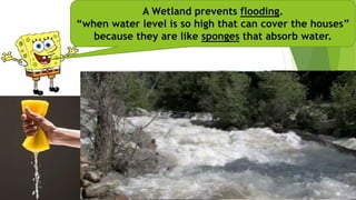 A Wetland prevents flooding.
“when water level is so high that can cover the houses”
because they are like sponges that absorb water.
 