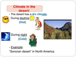 - The desert has a dry climate.
- During daytime:
(Hot)
- During night:
(Cold)
- Example:
“Sonoran desert” in North America.
Climate in the
desert:
 